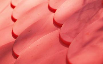 Daws House plastic roof costs